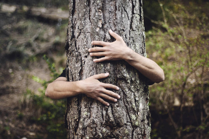 成年人,手,一个人,横图,室外,白天,西班牙,巴塞罗那,仅一个男性,树皮,树干,人体,摄影,部分,隐藏,关爱,加泰隆尼亚,环境保护,拥抱,彩图