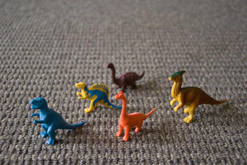 无人,站,横图,俯视,白天,地毯,玩具,澳大利亚,塑胶,教育,童年,摄影,恐龙,多样,悉尼,霸王龙,新南威尔士,梁龙,史前时代,彩图,高角度拍摄