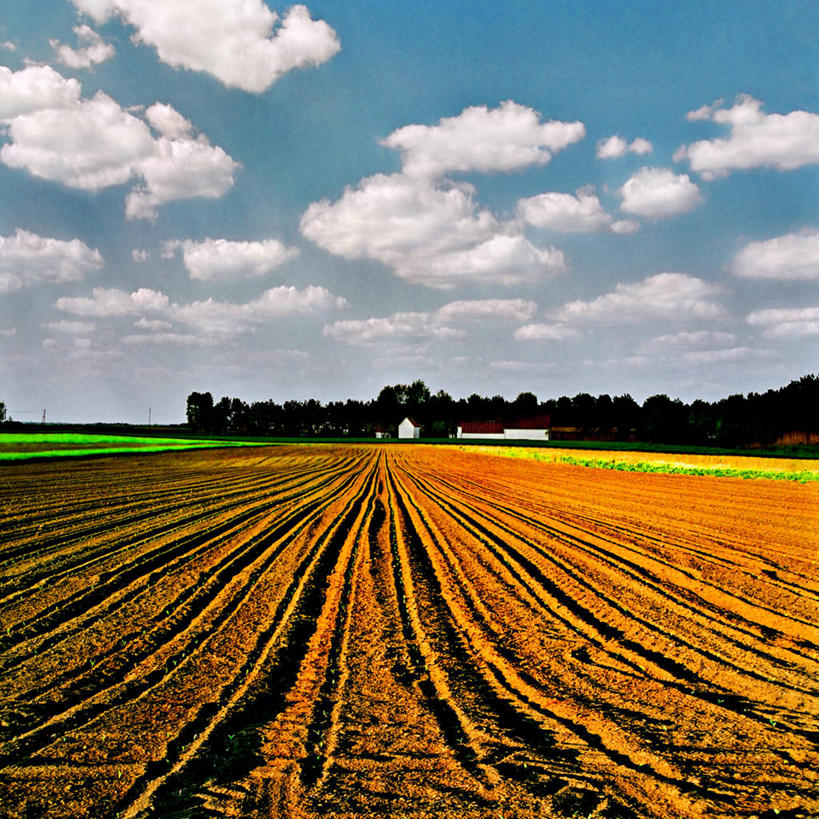 无人,农场,方图,室外,白天,消失点,农业,美景,地形,景观,云,风景,自然,景色,摄影,宁静,自然风光,塞尔维亚,彩图,耕地