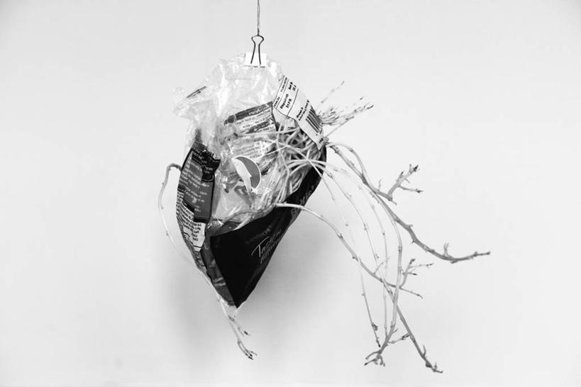 无人,横图,黑白,室外,白天,白色背景,吊挂,悬挂,包,食品,回形针,首都,挂,塑料袋,饮食,摄影,生长,腐烂,秧苗,马铃薯,影棚拍摄