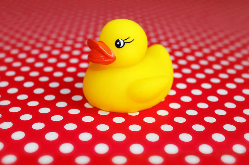 无人,横图,彩色,侧面,游戏,玩具,鸭子,圆点,玩,娱乐,一个,黄色,休闲,橡胶,益智,摄影,单个,活动,五颜六色,色彩斑斓,发泄,消遣,智力,五彩缤纷,橡胶制品,宣泄,五彩斑斓,橡胶小鸭,橡皮小鸭,五光十色,玩耍,嬉戏,彩图,影棚拍摄