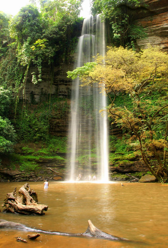 游泳,竖图,室外,白天,度假,美景,瀑布,美国,加纳,五个人,朦胧,模糊,景观,树,风景,自然,景色,放松,摄影,北美,北美洲,圆木,自然风光,美洲,北亚美利加洲,亚美利加洲,彩图,美利坚合众国