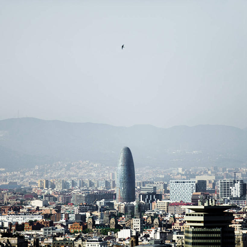 无人,方图,俯视,室外,白天,天际线,建筑,摩天大楼,西班牙,巴塞罗那,鸟类,首都,飞,摄影,阿格巴塔,彩图,高角度拍摄