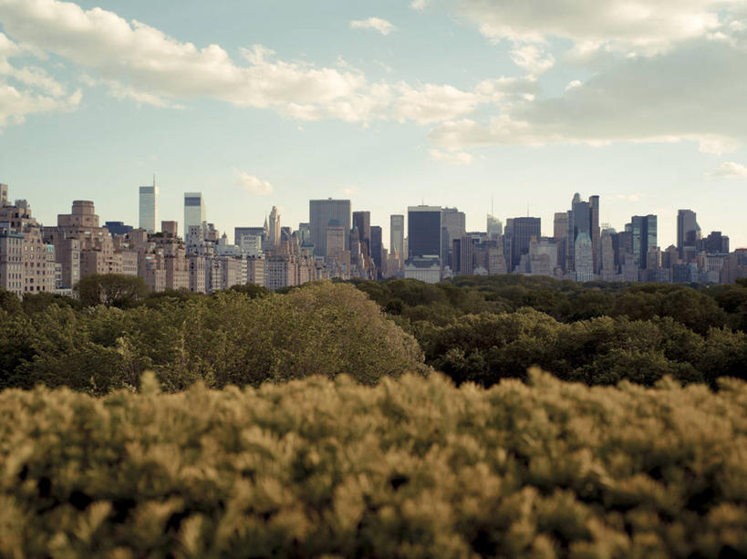 无人,公园,横图,室外,白天,天际线,植物,建筑,摩天大楼,美国,树,树木,绿色,自然,摄影,生长,成长,市区,中央公园,彩图