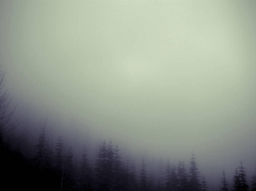 无人,横图,俯视,室外,留白,树林,植物,雾,加拿大,地形,黎明,树,树木,绿色,风景,自然,摄影,生长,成长,宁静,北美,北美洲,美洲,剪影,北亚美利加洲,亚美利加洲,卑诗省,不列颠哥伦比亚,不列颠哥伦比亚省,惠斯勒,大不列颠哥伦比亚,彩图,高角度拍摄,卑斯省