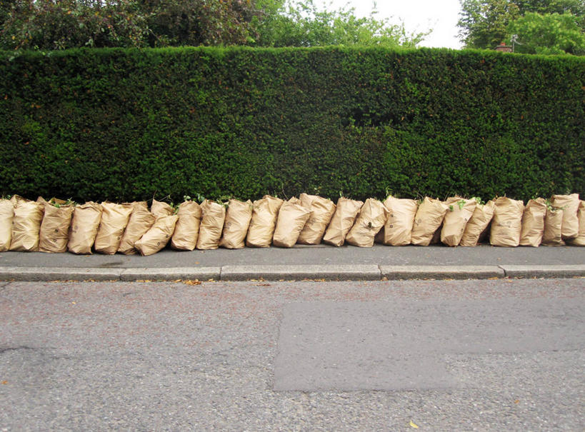 无人,横图,室外,白天,重复,英国,一排,许多,丰富,整齐,路边,园艺,首都,很多,排列,摄影,队列,树篱,彩图