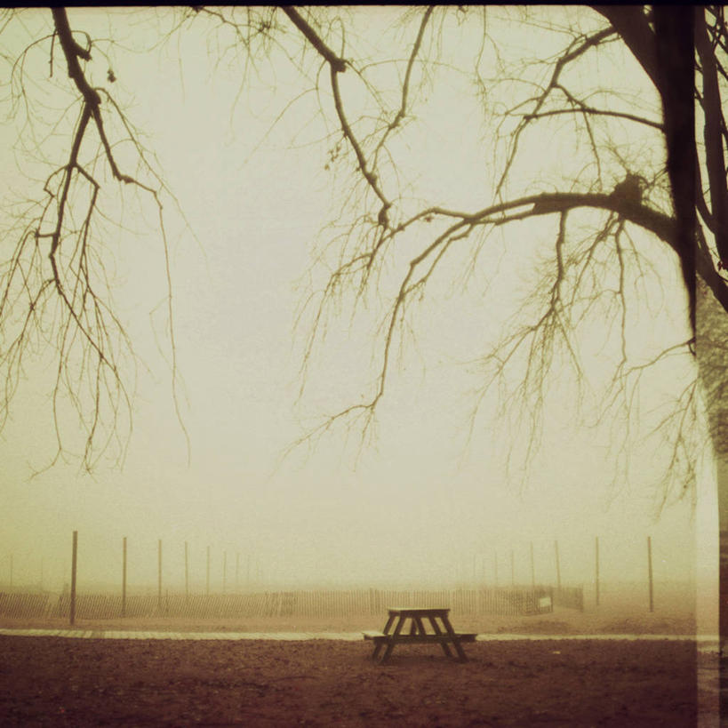 无人,公园,方图,室外,白天,雾,椅子,加拿大,长椅,枝,摄影,宁静,多伦多,彩图