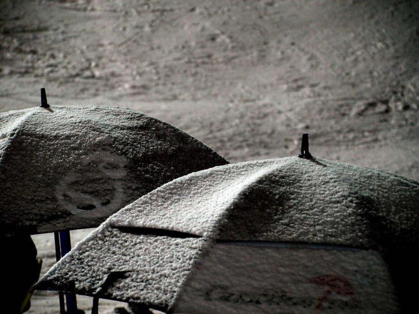 无人,横图,黑白,室外,白天,度假,雪,美国,圣诞节,伞,冬天,寒冷,摄影,保护