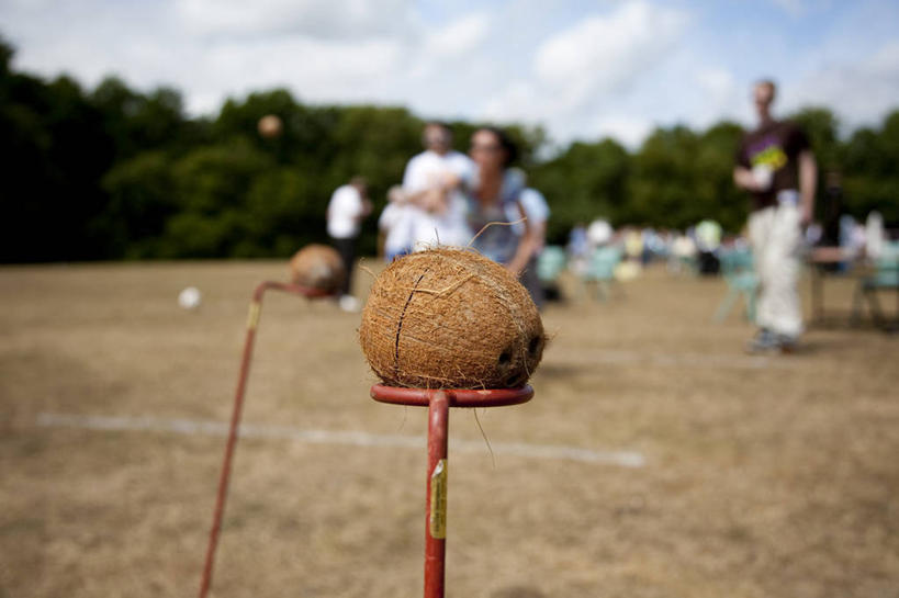 横图,室外,白天,运动,椰子,英国,球座,摄影,多塞特郡,彩图