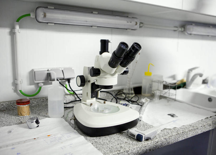 无人,横图,室内,白天,西班牙,研究,科学,显微镜,纸,实验室,摄影,工作台,彩图