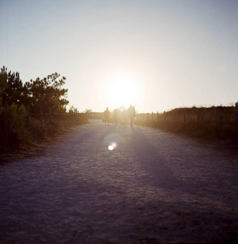 无人,竖图,室外,镜头眩光,度假,日落,日光,法国,沙子,地平线,辽阔,地面,沙丘,夏天,广阔,摄影,灌木,宁静,一望无际,延伸,天地相交,无边无际,一马平川,海滩,彩图,鲁瓦扬