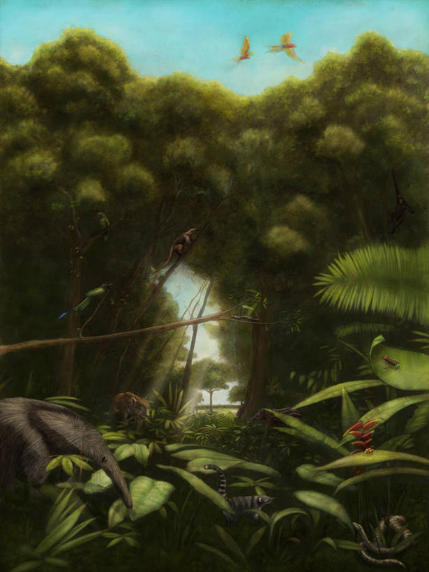 无人,竖图,插画,室外,白天,数码,科技,猴子,哥伦比亚,阴影,环保,网络,鸟类,蛇,首都,高光,几何,计算机图形,合成,图画,画,自然,摄影,生长,能源,回收,电脑合成图,数码合成图,资源,合成图,野猫,热带雨林,漫画,利用,低碳,循环,写实,具体,具象,持续,食蚁兽,波哥大,彩图,雨林