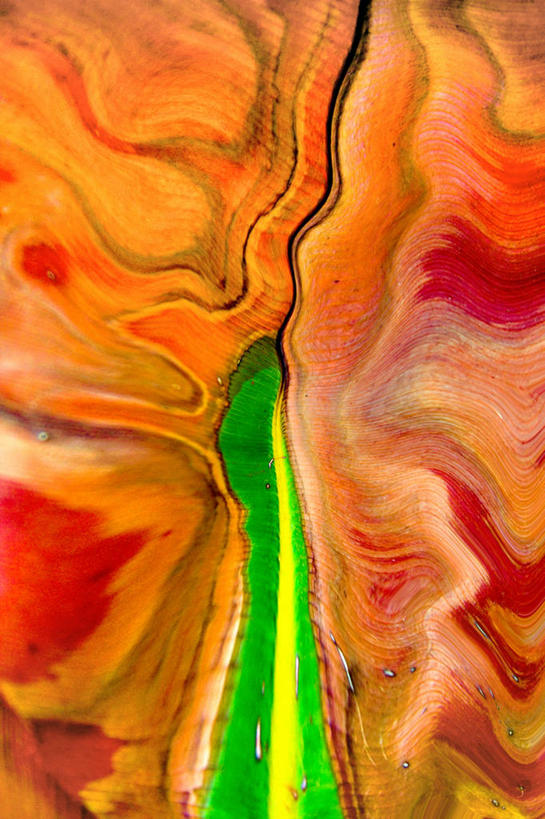 无人,竖图,特写,叶子,印度,褐色,绿色,摄影,脆弱,简单,改变,干的,马哈拉施特拉邦,孟买,彩图,全画面,全框架,全帧,全画幅