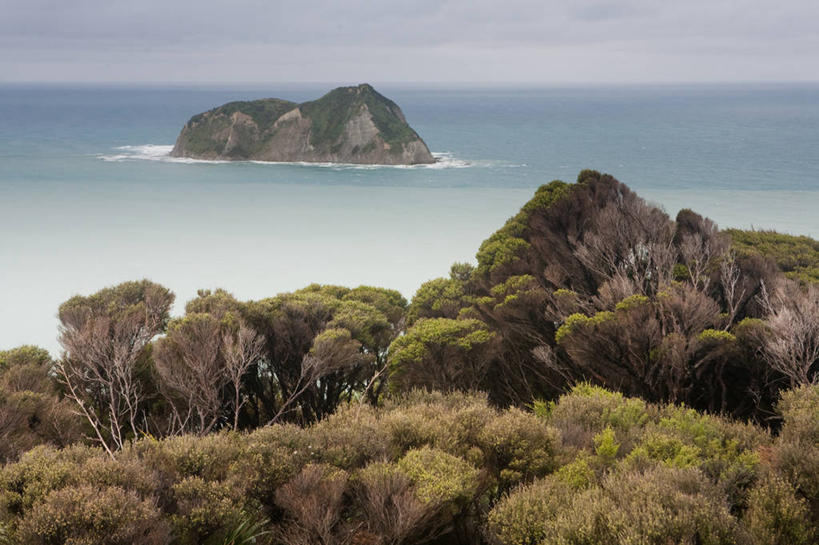 无人,横图,室外,白天,海洋,美景,新西兰,岛,景观,水平线,草,风景,天空,自然,景色,摄影,灌木,宁静,自然风光,东开普省,岩石,彩图
