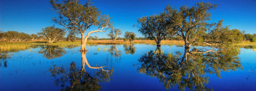 无人,横图,全景,室外,美景,澳大利亚,对称,反射,地形,景观,黎明,树,风景,天空,自然,景色,摄影,茶树,宁静,早晨,自然风光,潘塔纳尔湿地,死水,彩图