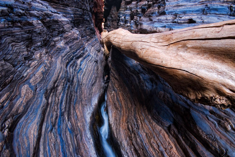 无人,横图,俯视,室外,白天,澳大利亚,枝,树,树干,自然,摄影,宁静,西澳大利亚,式样,岩石,彩图,高角度拍摄,水灾,韧性