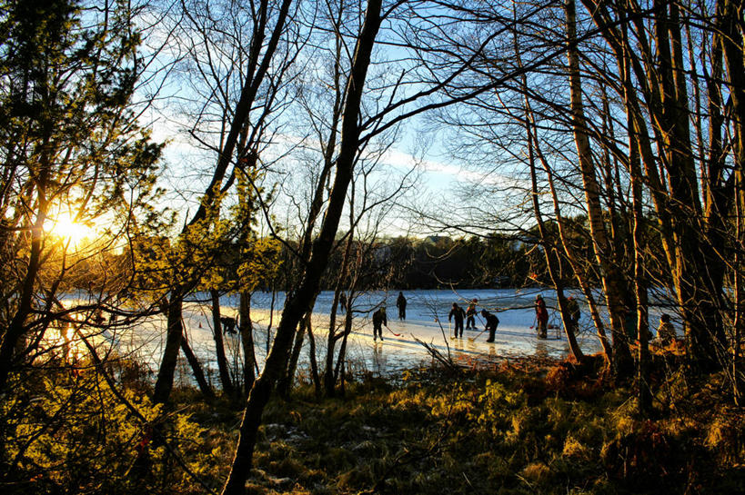 横图,室外,太阳,日光,挪威,欧洲,朦胧,模糊,冬天,冰球,树,自然,黄昏,摄影,享乐,斯堪的纳维亚,北欧,斯堪的那维亚,斯堪的那维亚半岛,斯堪的纳维亚半岛,冬季运动,挪威王国,冰球场,默勒.鲁姆斯达尔,默勒.鲁姆斯达尔郡,休闲活动,彩图