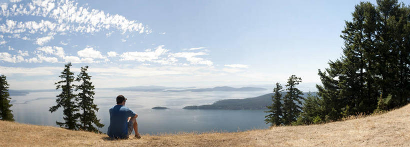 西方人,成年人,中年人,一个人,坐,横图,全景,室外,白天,欧洲,加拿大,欧洲人,仅一个男性,仅一个人,仅一个中年男性,云,休闲装,树,背面,天空,自然,思考,摄影,抱膝,宁静,海湾群岛,大不列颠哥伦比亚,男人,男性,中年男性,白种人,屈膝,彩图,独处