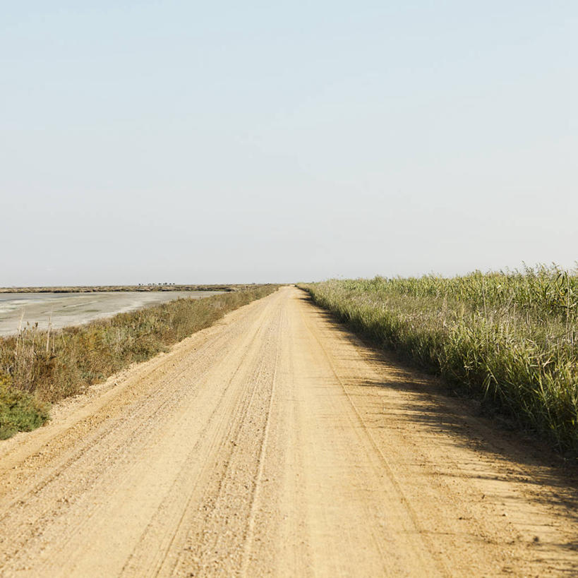 无人,方图,室外,白天,美景,路,西班牙,阴影,景观,草,自然,景色,摄影,宁静,国家公园,自然风光,安达路西亚,万里无云,彩图,多纳纳国家公园