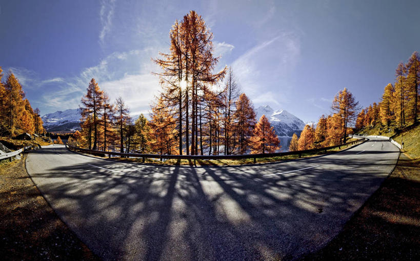 无人,横图,全景,室外,白天,路,日光,瑞士,云,风景,天空,自然,运输,摄影,宁静,改变,落叶松,秋天,彩图