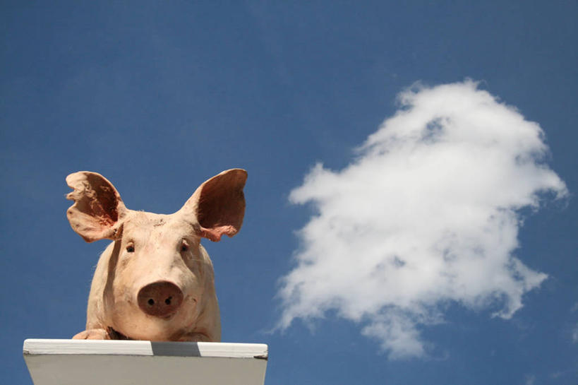 无人,横图,室外,白天,猪,雕塑,云,首都,天空,摄影,幽默,跳板,捷克共和国,布拉格,彩图