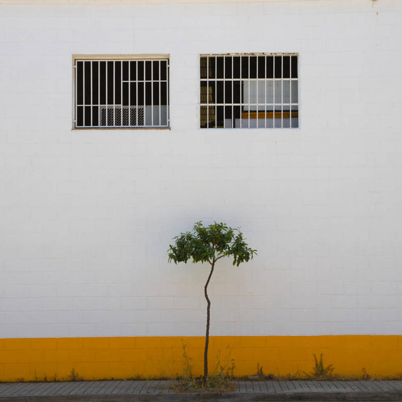 无人,方图,室外,白天,建筑,街道,西班牙,小的,墙,树,摄影,生长,巴伦西亚省,彩图,独处