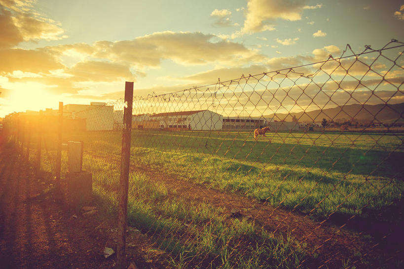 无人,横图,室外,日落,马,日光,西班牙,栅栏,地形,云,草,风景,天空,自然,家畜,摄影,安达路西亚,科尔多瓦,彩图