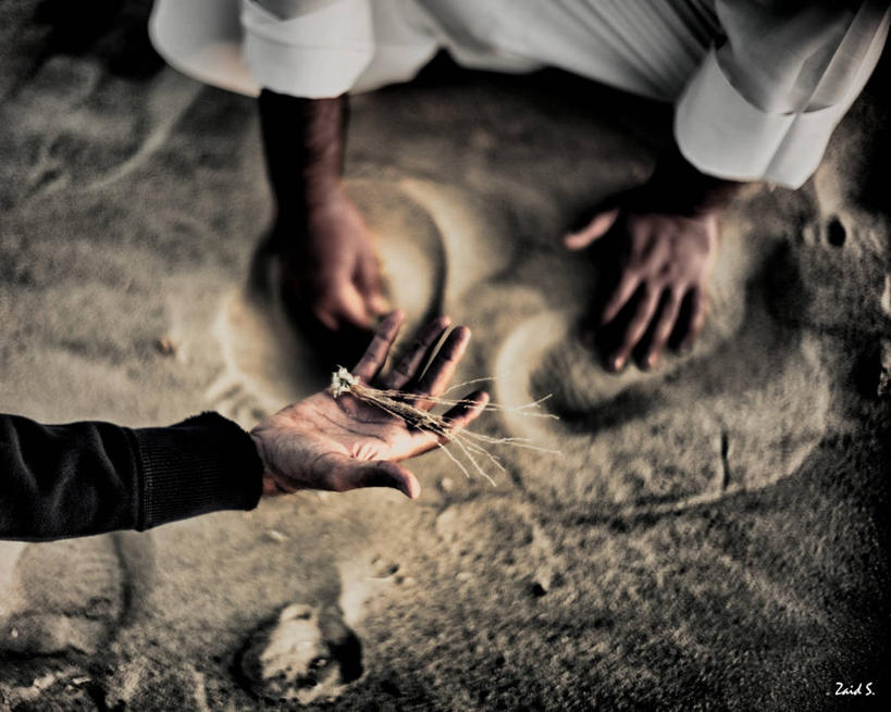 手,两个人,蹲,横图,俯视,室外,特写,白天,植物,科威特,种植,朦胧,模糊,沙子,拿着,自然,人体,摄影,部分,袖子,关爱,秧苗,环境保护,彩图,高角度拍摄