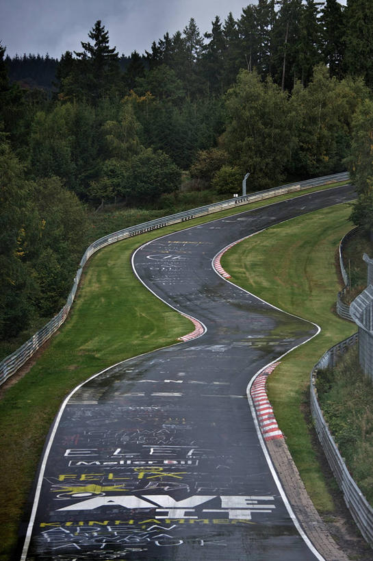 无人,竖图,室外,德国,欧洲,路标,树,自然,手稿,摄影,指导,英文字母,宁静,西欧,德意志联邦共和国,莱茵兰.普法尔茨州,彩图,单行道,东德