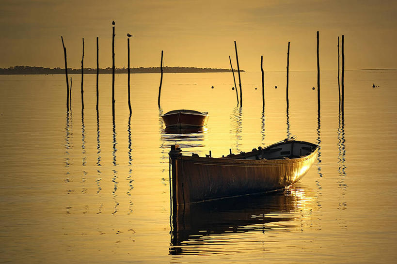 无人,横图,室外,美景,日落,船,海鸥,野生动物,法国,反射,鸟类,景观,水平线,天空,自然,动物,两只,木桩,景色,运输,摄影,宁静,自然风光,吉伦特省,彩图,海港