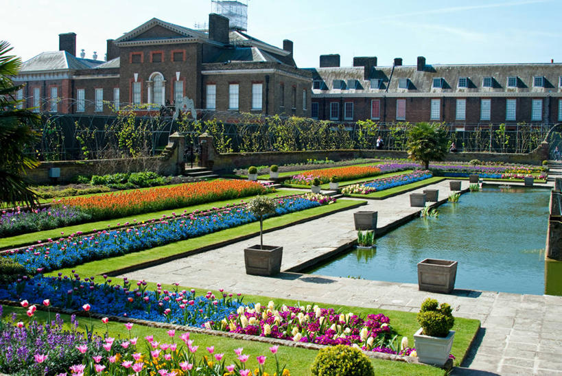 无人,宫殿,横图,室外,白天,美景,水,建筑,英国,盛开,景观,云,首都,花蕾,花,花瓣,花朵,鲜花,自然,春天,花苞,花蕊,景色,摄影,生长,园林,清新,自然风光,肯辛顿宫,皇室,彩图