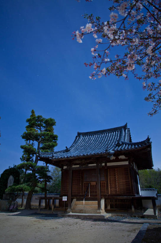 无人,竖图,室外,建筑,樱花,日本,日本文化,屋顶,枝,花朵,树,自然,黄昏,摄影,宁静,冈山县,彩图