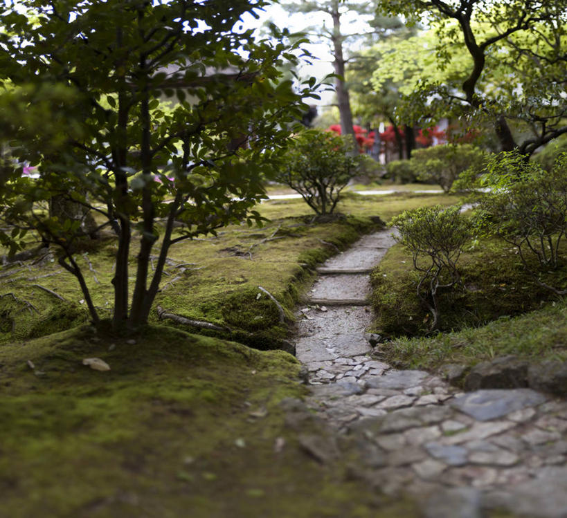 无人,横图,室外,白天,日本,日本文化,小路,干净,草,树,摄影,宗教,京都府,园林,宁静,京都市,银阁寺,彩图,花园路