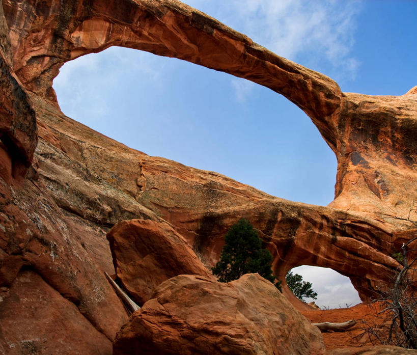 无人,横图,室外,白天,仰视,植物,美国,云,历史,天空,摄影,考古学,国家公园,拱门国家公园,犹他,古代文明,自然地理,岩石,彩图,低角度拍摄,摩押