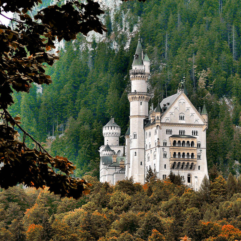 无人,方图,室外,白天,植物,建筑,德国,城堡,枝,历史,树,自然,摄影,德国文化,新天鹅城堡,巴伐利亚,彩图