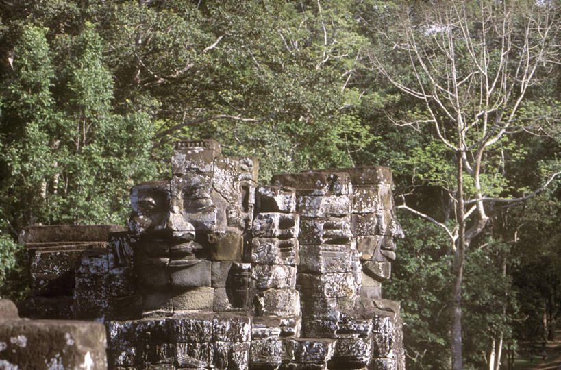 无人,寺庙,横图,室外,白天,建筑,柬埔寨,破碎,雕像,历史,破坏,破损,树,摄影,宗教,佛教,粉碎,损坏,宗教建筑,毁坏,摧毁,暹粒,巴扬寺,吴哥,彩图,柬埔寨文化