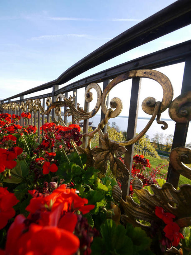 无人,栏杆,竖图,室外,白天,植物,德国,花,红色,天空,自然,摄影,生长,天竺葵,脆弱,清新,博登湖,彩图