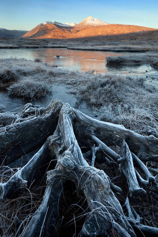 无人,竖图,室外,白天,湖,森林,山,英国,地形,旷野,根部,自然,摄影,宁静,万里无云,彩图