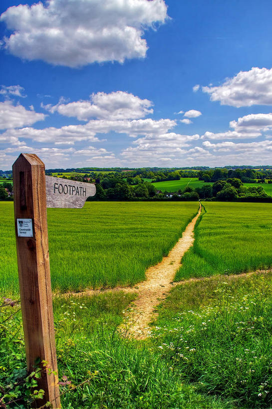 无人,竖图,室外,白天,通讯,美景,英国,文字,地形,景观,云,方向,草,树,天空,自然,景色,摄影,宁静,自然风光,交通标志,汉普郡,彩图