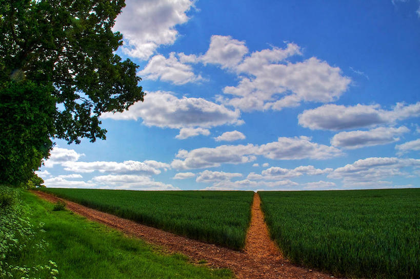 无人,横图,室外,白天,美景,英国,地形,景观,云,草,树,风景,天空,自然,景色,摄影,宁静,自然风光,汉普郡,彩图