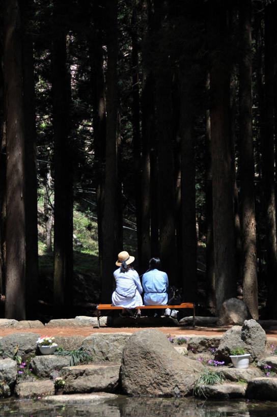 成年人,两个人,公园,坐,竖图,室外,白天,湖,椅子,韩国,长椅,树干,背面,自然,放松,摄影,享乐,全罗南道,岩石,休闲活动,彩图