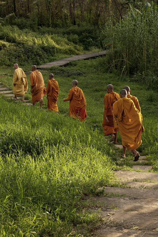 成年人,竖图,室外,白天,楼梯,泰国,长袍,台阶,草,自然,颜色,摄影,国家公园,步行,彩图,传统文化