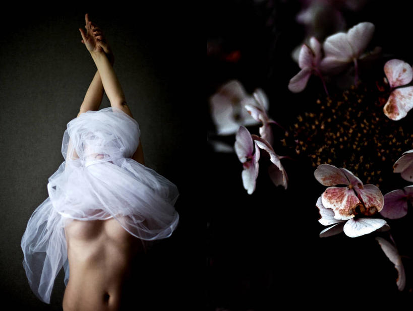 成年人,中年人,老年人,一个人,举,双手交叉,横图,正面,性感,法国,仅一个女性,仅一个人,黑色背景,网,花,托,仅一个中年女性,个性,摄影,面纱,双手抱胸,肖像,薄纱,女人,女性,中年女性,举起,举手,举着,向上举,向上伸,向上托,半身,彩图,影棚拍摄,美人