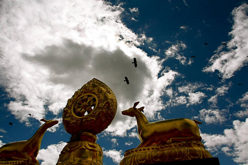 无人,横图,室外,白天,仰视,建筑,鸟类,屋顶,云,首都,历史,飞,黄金,天空,动物,两只,摄影,宗教,修道院,云南省,美术工艺,香格里拉县,彩图,低角度拍摄,传统文化