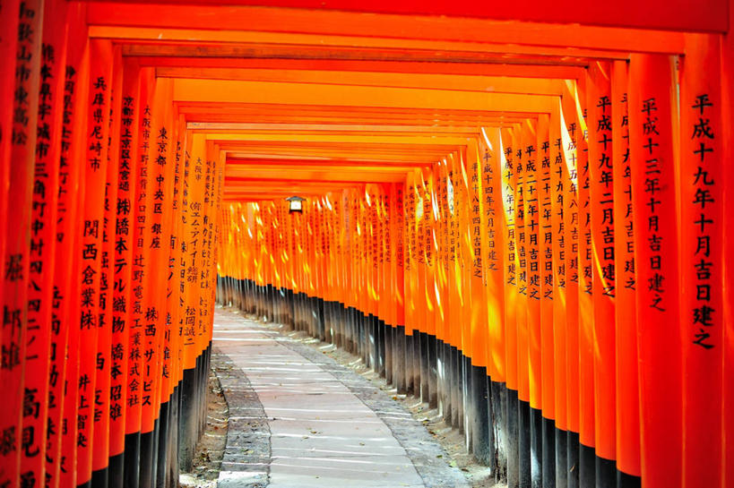 无人,寺庙,横图,室内,重复,建筑,京都,日本,亚洲,一排,日本文化,整齐,日文,鸟居,小路,排列,摄影,宗教,京都府,神殿,宗教建筑,队列,东亚,本州,本州岛,日本国,近畿地方,近畿,伏见稻荷大社,伏见区,彩图