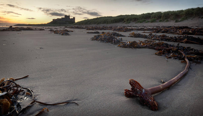 无人,横图,室外,日出,建筑,日光,英国,浮木,沙子,城堡,历史,英格兰,天空,自然,摄影,宁静,海滩,彩图