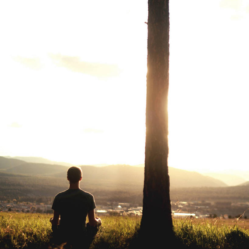 成年人,一个人,坐,方图,室外,日落,山,日光,加拿大,仅一个男性,地形,休闲装,草,树干,背面,风景,自然,思考,放松,摄影,冥想,剪影,大不列颠哥伦比亚,盘着腿坐,彩图