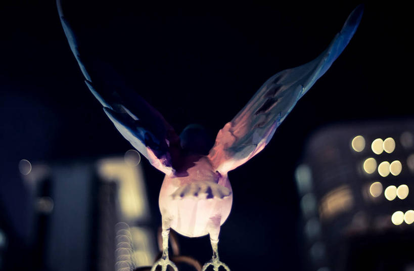 无人,横图,室外,特写,夜晚,自由,建筑,鸽子,野生动物,香港,鸟类,雕像,背面,天空,摄影,美术工艺,彩图