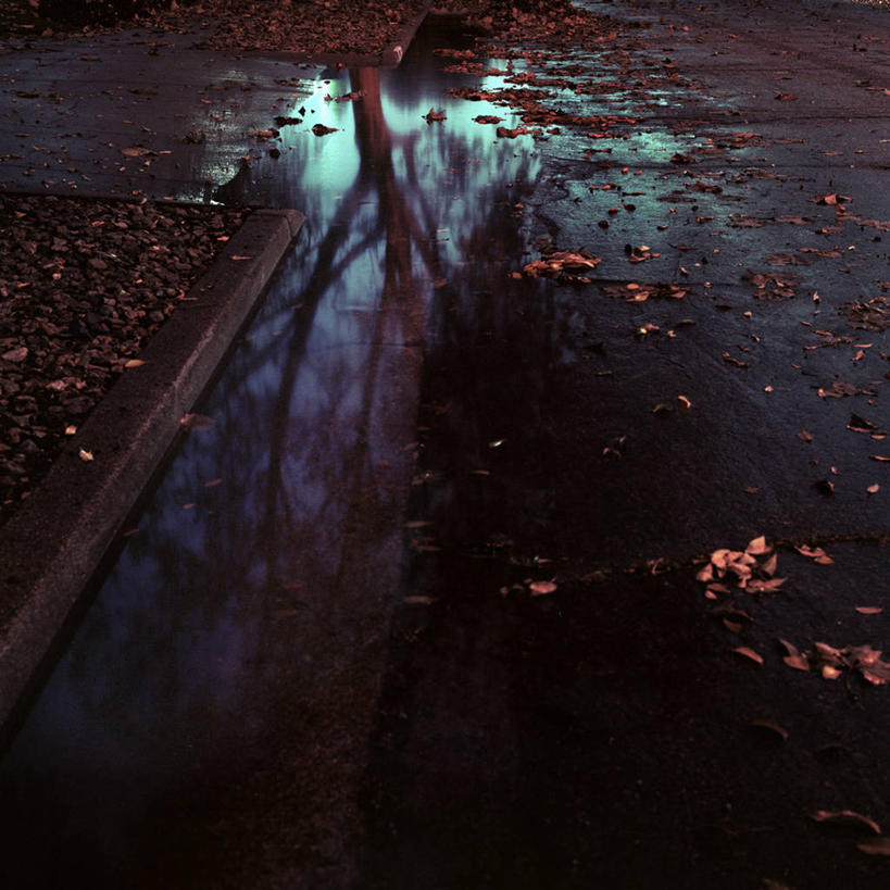 无人,方图,俯视,室外,白天,水,路,叶子,美国,反射,路边,树,摄影,宁静,水坑,彩图,高角度拍摄