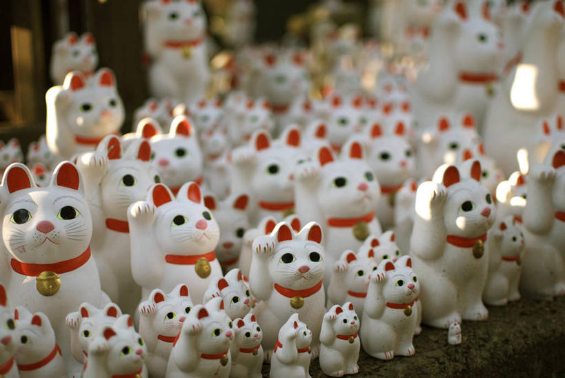 无人,横图,室外,白天,运气,猫,东京,日光,日本,许多,丰富,日本文化,招财猫,首都,很多,摄影,多样,美术工艺,彩图